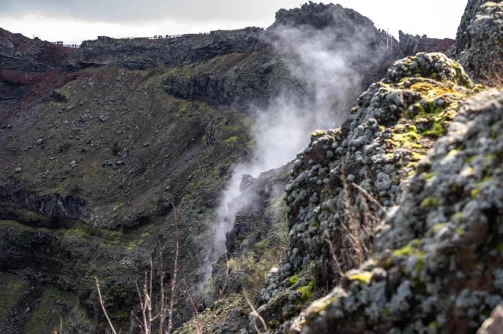 From Naples: Pompeii and Vesuvius Guided Day Trip with Lunch | ®ExcursionMania - Image 11