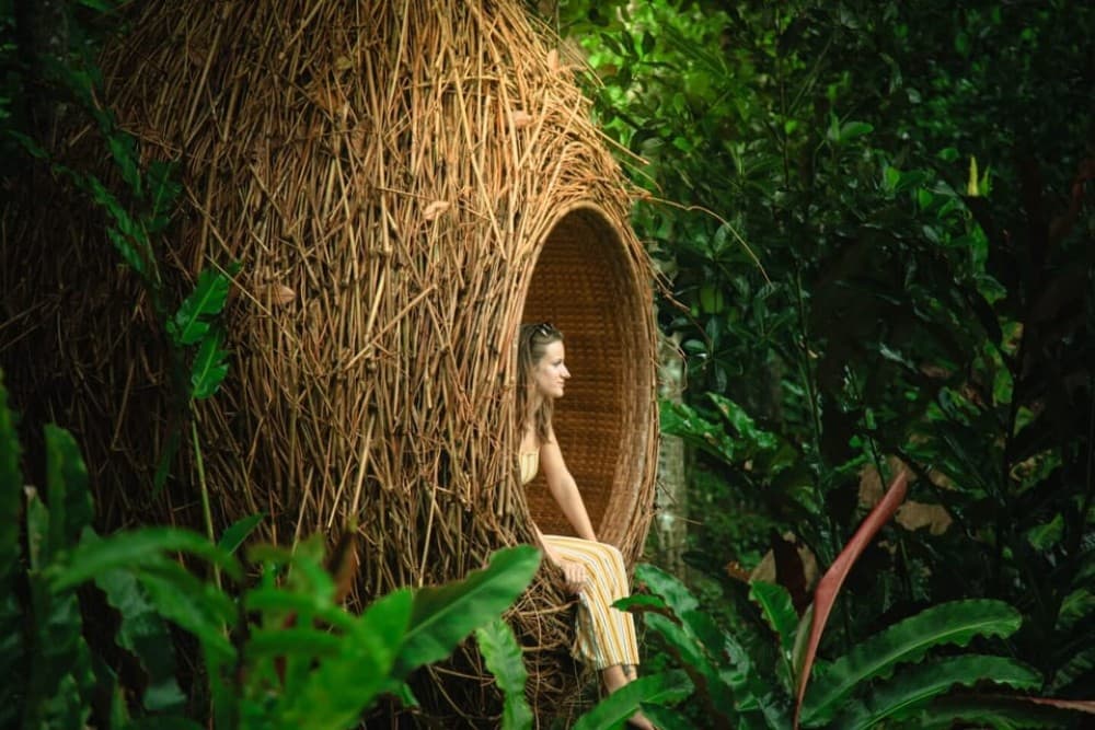 Bali: Monkey Forest, Tegalalang, Uluwatu & Kecak Dance Tour | ®ExcursionMania - Image 3