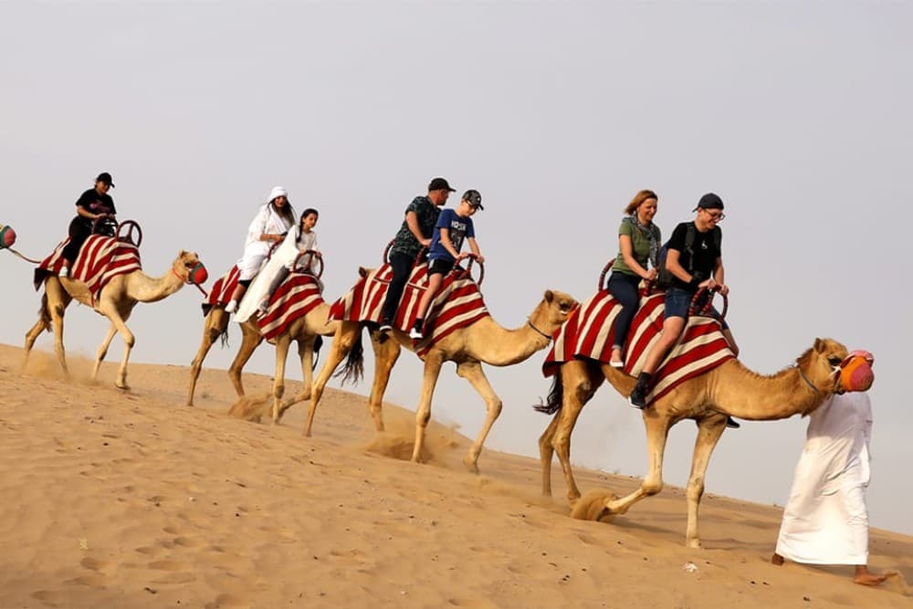 Dubai City Tour and Evening Desert Safari Combo | ®ExcursionMania - Image 8