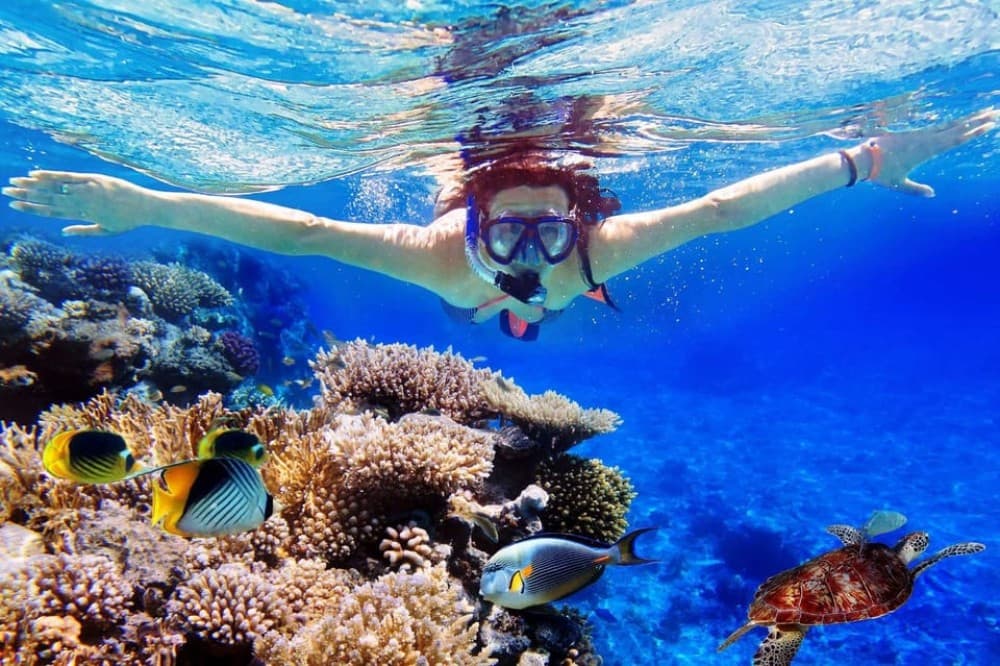 Bali: Amed, Jemeluk & Lipah Beach Snorkeling Adventure | ®ExcursionMania - Image 4
