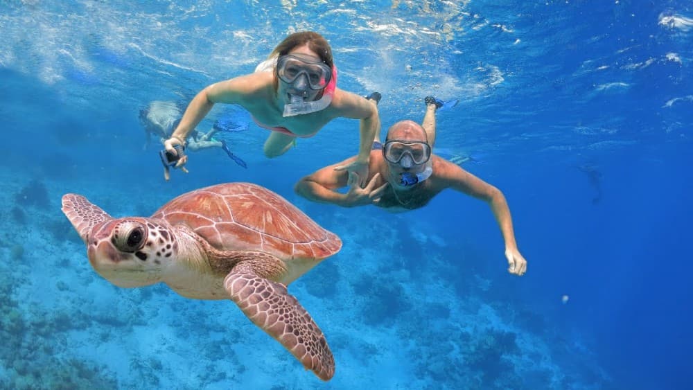Bali: Amed, Jemeluk & Lipah Beach Snorkeling Adventure | ®ExcursionMania - Image 5