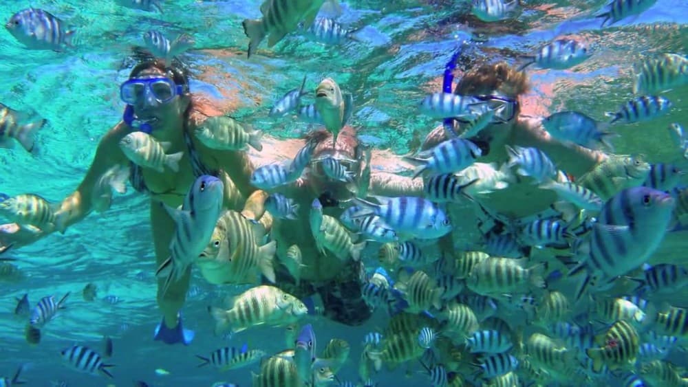 Bali: Amed, Jemeluk & Lipah Beach Snorkeling Adventure | ®ExcursionMania - Image 7