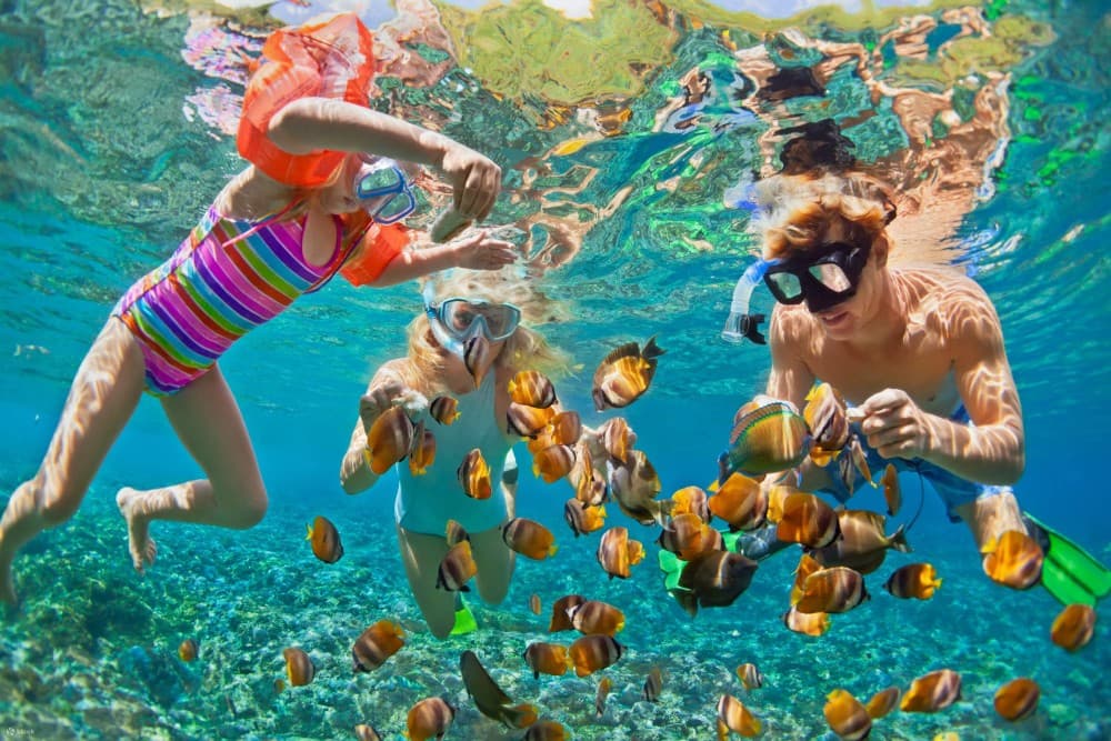 Bali: Amed, Jemeluk & Lipah Beach Snorkeling Adventure | ®ExcursionMania - Image 10