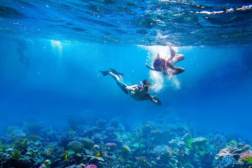 Bali: Nusa Lembongan All-Inclusive Island & Snorkeling Tour | ®ExcursionMania - Image 7