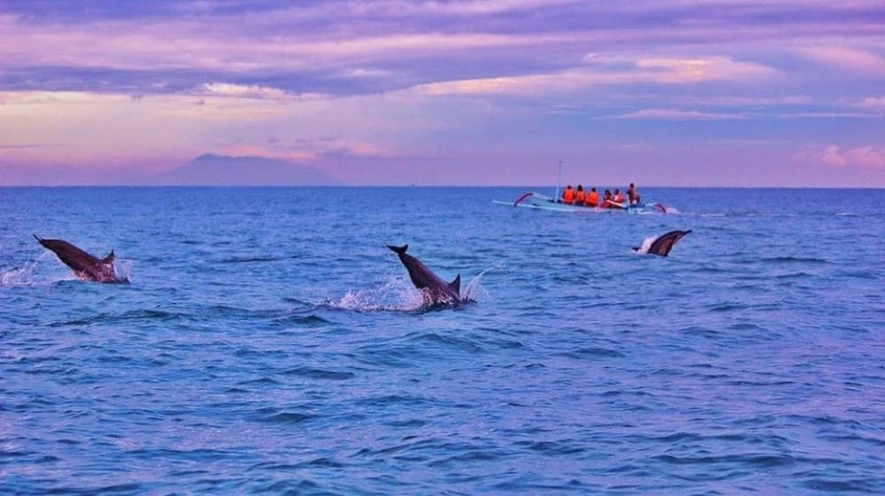 Munduk/Lovina: Waterfall, Snorkeling & Dolphin Watching Tour | ®ExcursionMania - Image 3