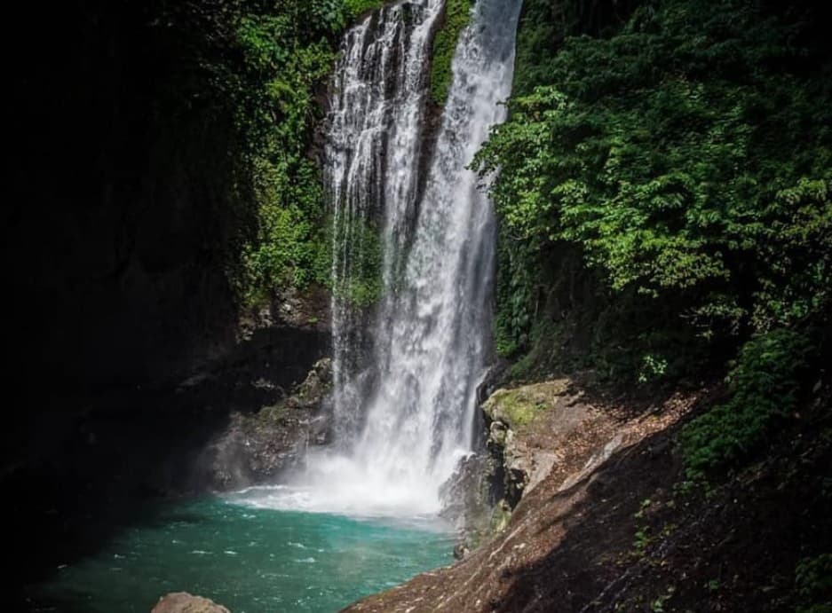 Munduk/Lovina: Waterfall, Snorkeling & Dolphin Watching Tour | ®ExcursionMania - Image 7