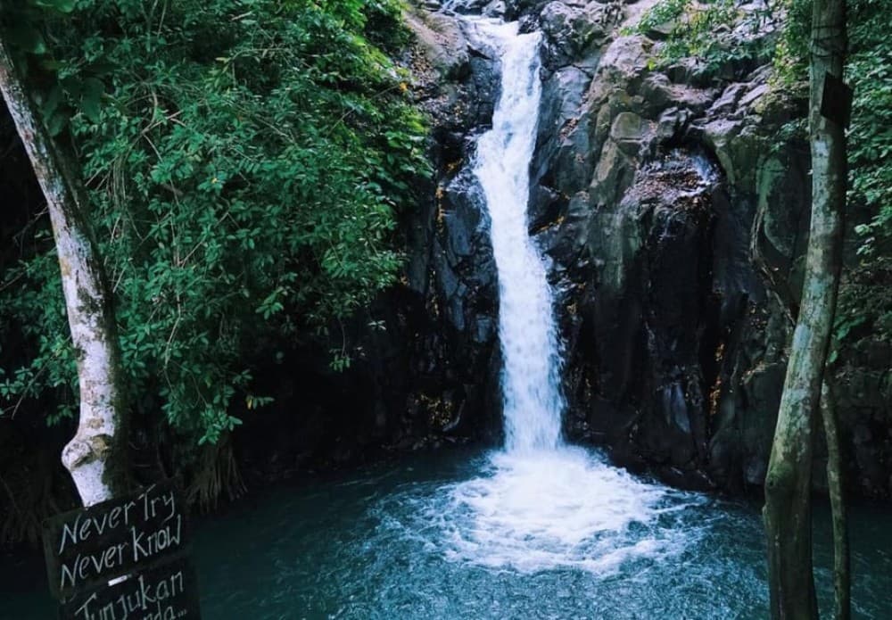 Munduk/Lovina: Waterfall, Snorkeling & Dolphin Watching Tour | ®ExcursionMania - Image 8