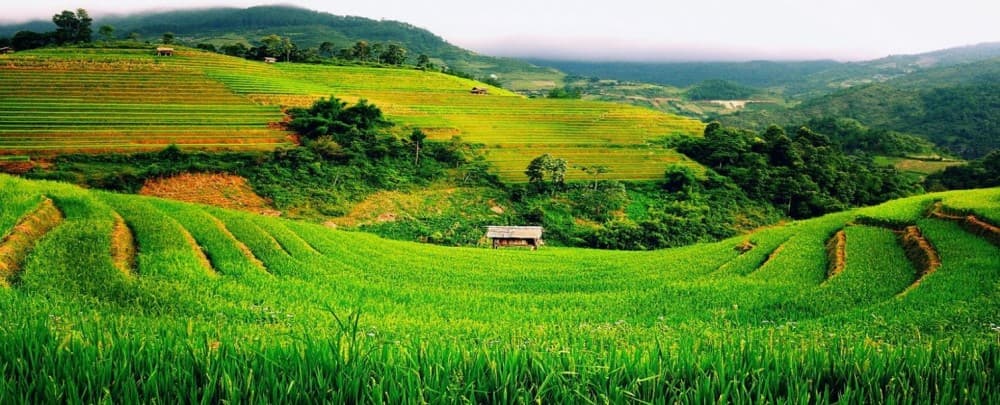 From Hanoi: 2-Day 2-Night Sapa Tour By Overnight Train | ®ExcursionMania - Image 9