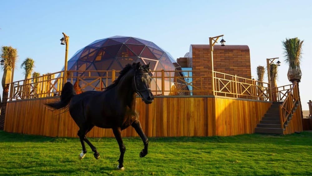 Dubai: Al Marmoom Domes Desert Glamping & Dining Experience | ®ExcursionMania - Image 2