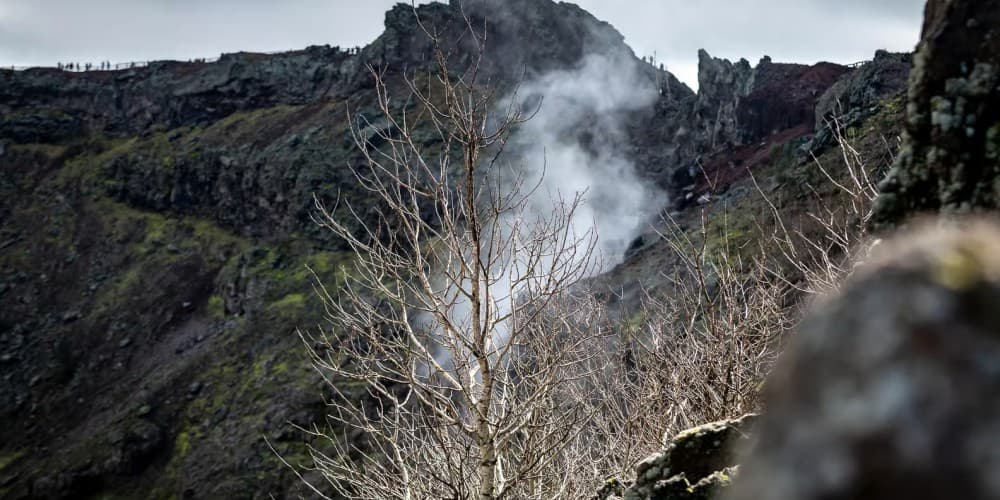From Sorrento: Pompeii and Vesuvius Guided Tour with Lunch | ®ExcursionMania - Image 7