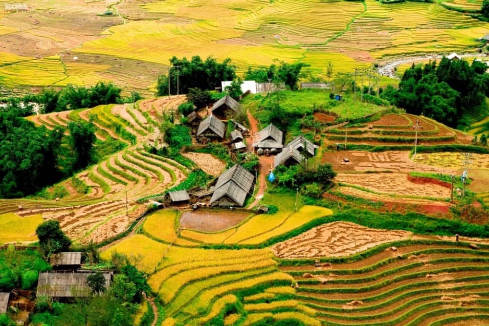 From Hanoi: Sapa 3-Day Medium Trek and Limousine Trip | ®ExcursionMania - Image 6