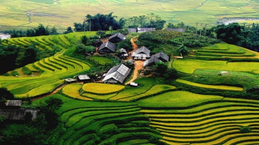 From Hanoi: Sapa 3-Day Medium Trek and Limousine Trip | ®ExcursionMania - Image 8