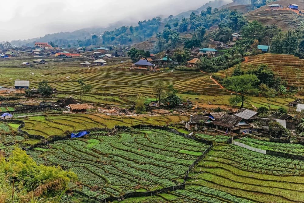 Sapa: 3-Day, 3-Night Trek And Hotel With Overnight Train | ®ExcursionMania - Image 5