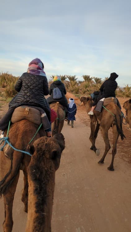Desert Odyssey: A 2-Day Journey from Marrakech to Zagora | ®ExcursionMania - Image 12