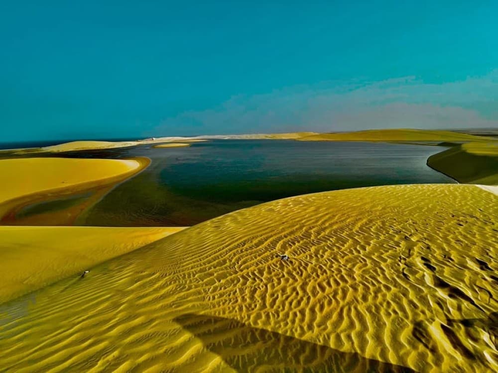 From Doha: Sunrise or Sunset Safari with Sand Boarding | ®ExcursionMania - Image 5