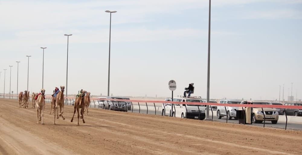 Doha: Richard Serra Sculpture, Zekreet and West Coast Tour | ®ExcursionMania - Image 6