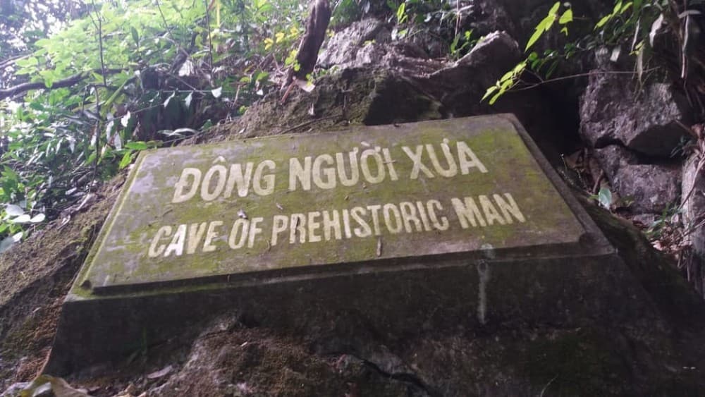 From Hanoi: Ninh Binh & Cuc Phuong National Park 2-Day Tour | ®ExcursionMania - Image 9