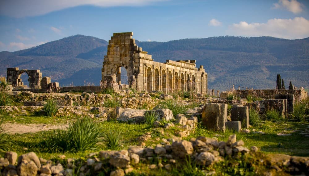 Cultural Day Trip meknes Volubilis in a Small Group OF 8 | ®ExcursionMania - Image 8