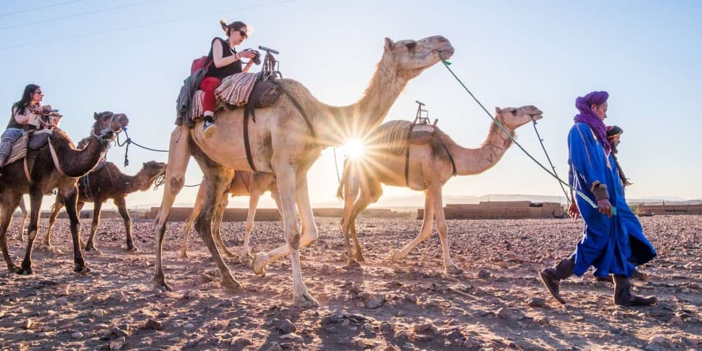 3 Days/2nights: Moroccan Sahara Expedition: Fez to Marrakech | ®ExcursionMania - Image 7