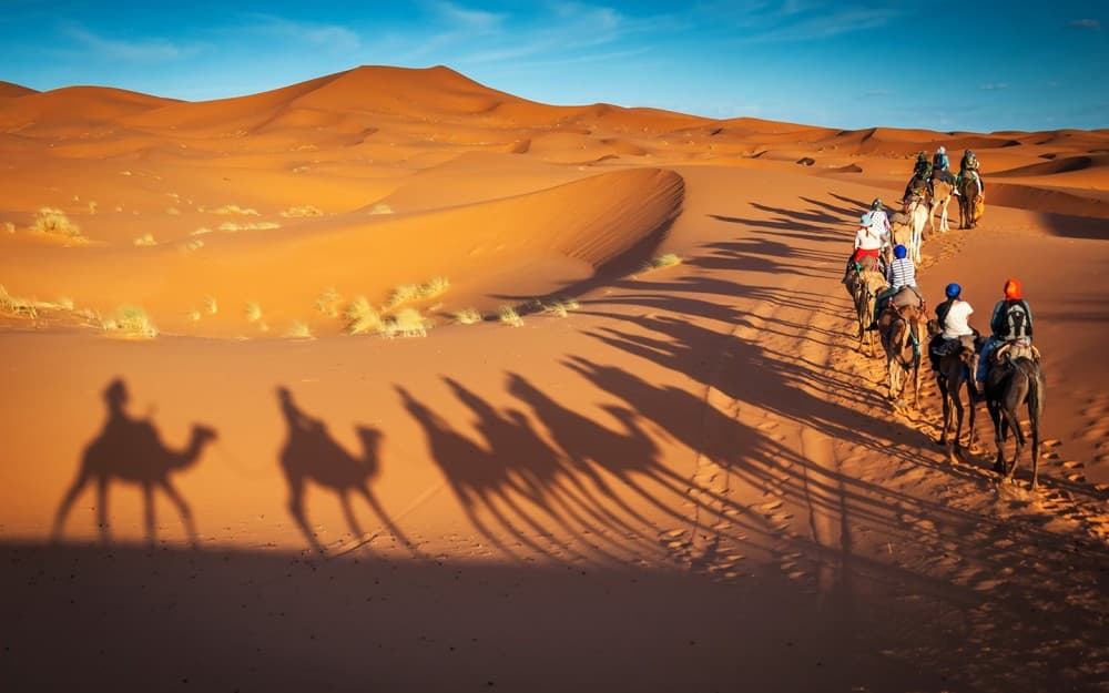 3 Days/2nights: Moroccan Sahara Expedition: Fez to Marrakech | ®ExcursionMania - Image 12