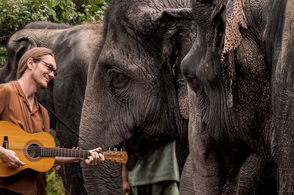 Phnom Kulen Park: Tour with Elephant Forest from Siem Reap | ®ExcursionMania - Image 3