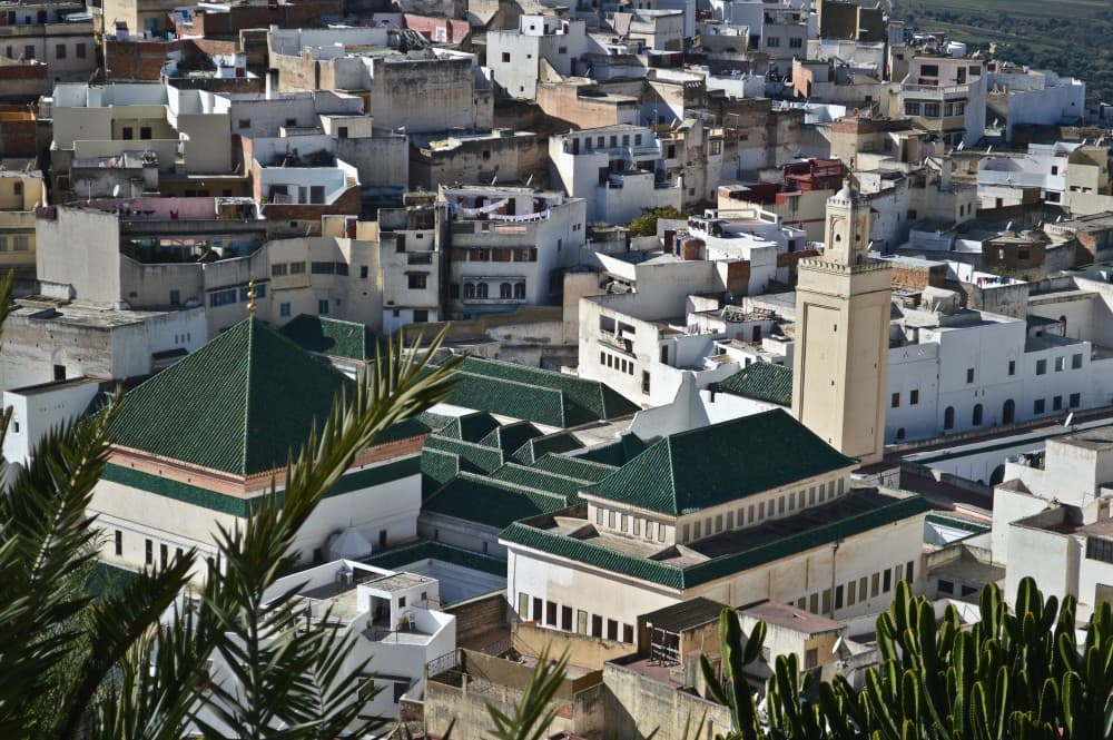 From Fez: Middle Atlas Ifran and Forest of Monkeys Day Trip | ®ExcursionMania - Image 6