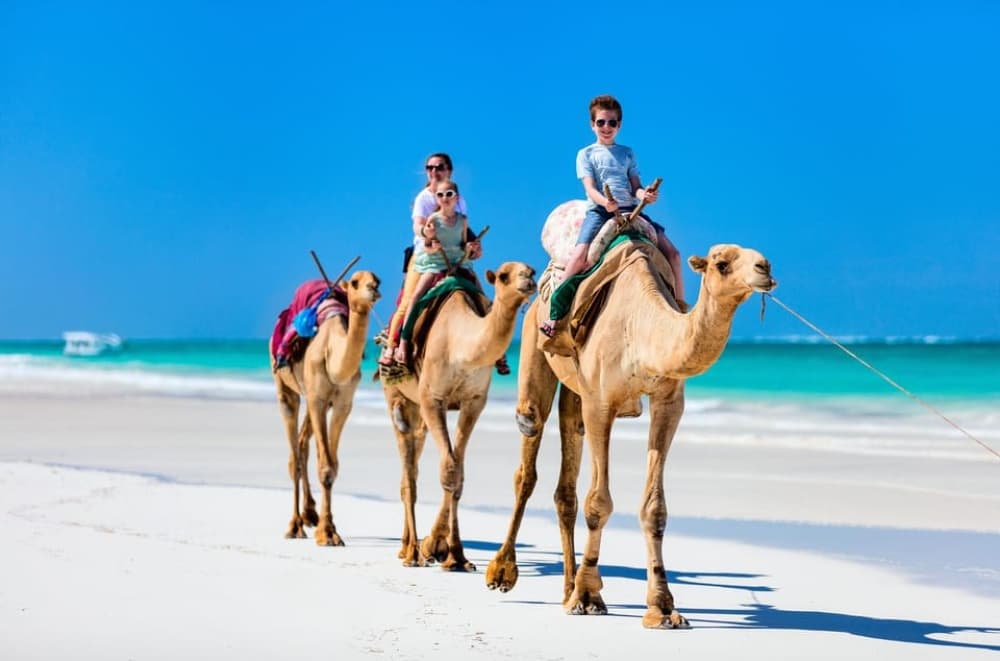 Tangier: Camel Ride & Sightseeing