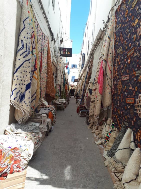 Small-group Day Trip to Essaouira from Marrakech | ®ExcursionMania - Image 10