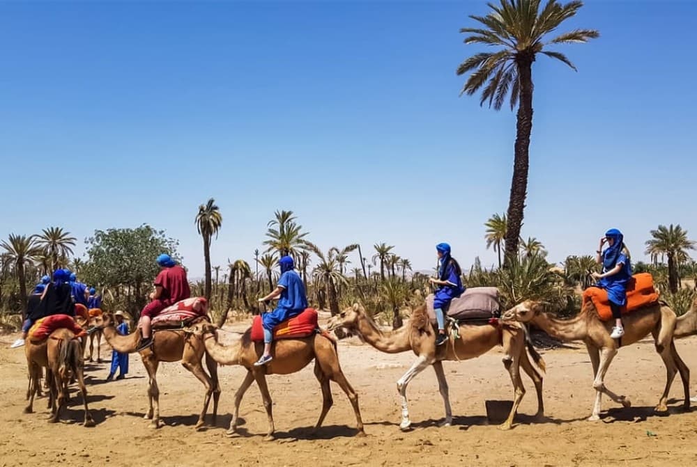 Marrakech activities: Camel ride tour Marrakech | ®ExcursionMania - Image 5