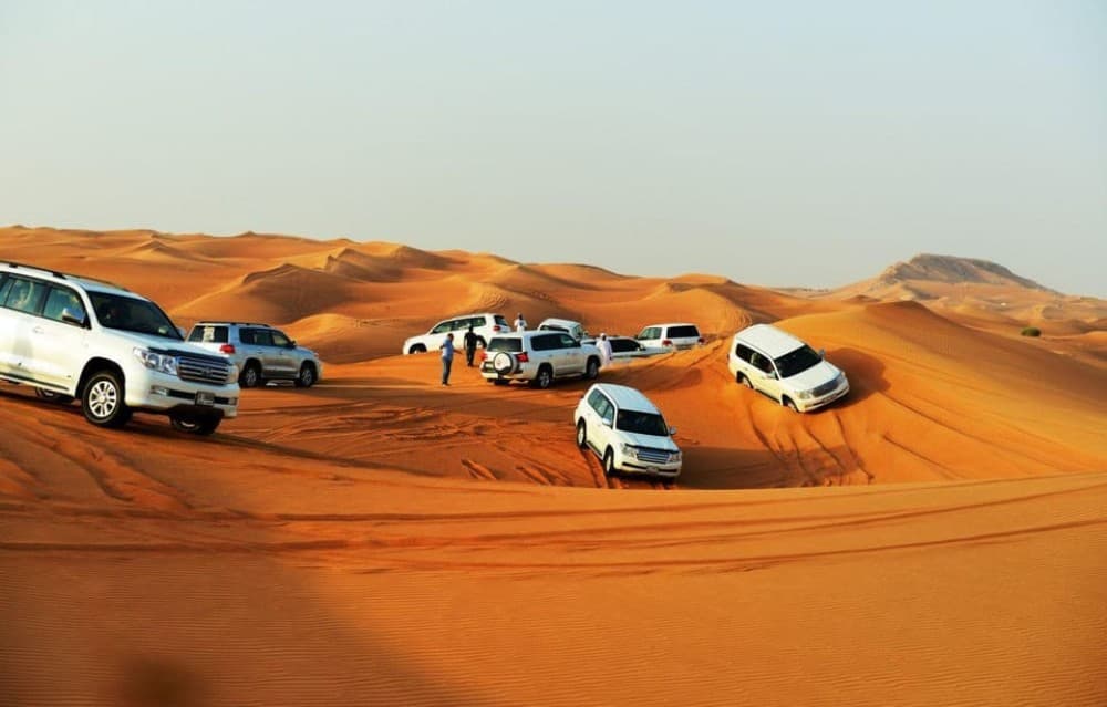 Quad Bike/Buggy, Desert Safari, Camel Ride, Dune Bashing | ®ExcursionMania - Image 6