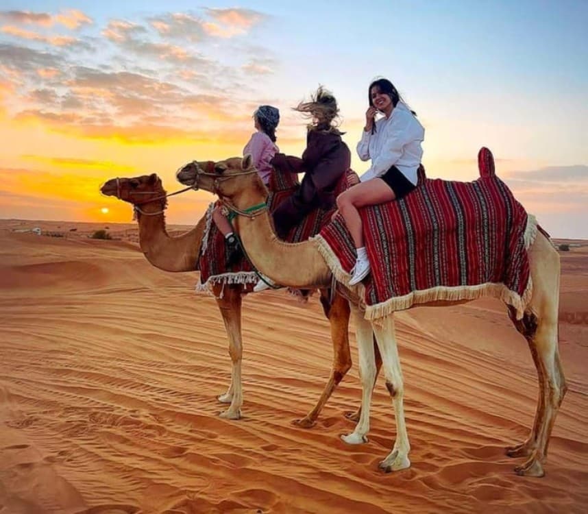 Doha: Quadbike/Desert Safari, Camel Ride, Sandboarding | ®ExcursionMania - Image 5