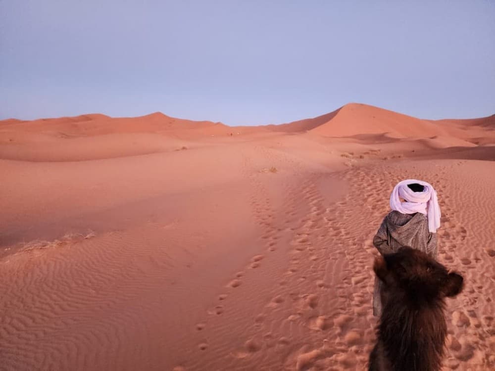 Marrakech to Merzouga: Unforgettable 2-Day Desert in a Small Group | ®ExcursionMania - Image 3