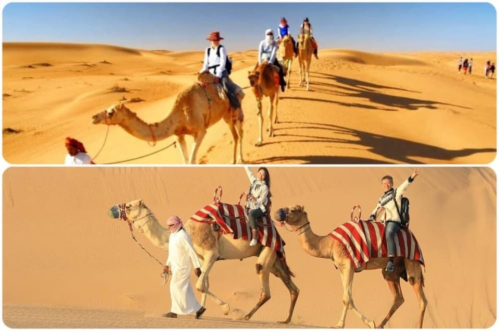 From Doha: Experience Bedouin Style Camel Safari | ®ExcursionMania - Image 7