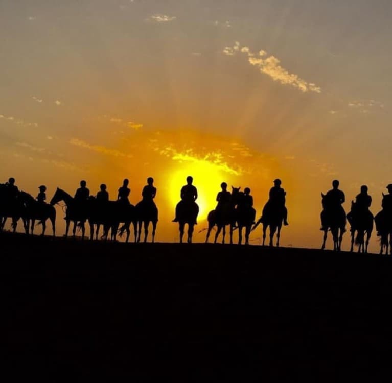 Doha Private Horse Riding Tour With Transfer | ®ExcursionMania - Image 2