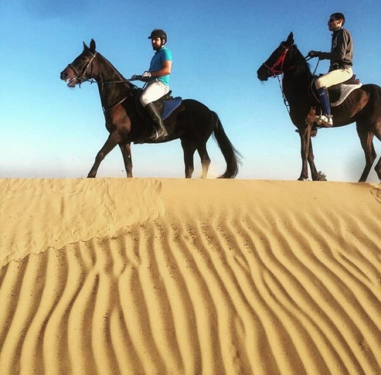 Doha Private Horse Riding Tour With Transfer | ®ExcursionMania - Image 6