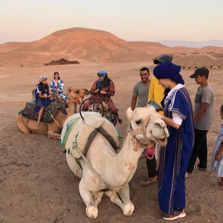 Marrakech: Agafay Desert Quad & Camel Rides with Dinner Show | ®ExcursionMania - Image 4