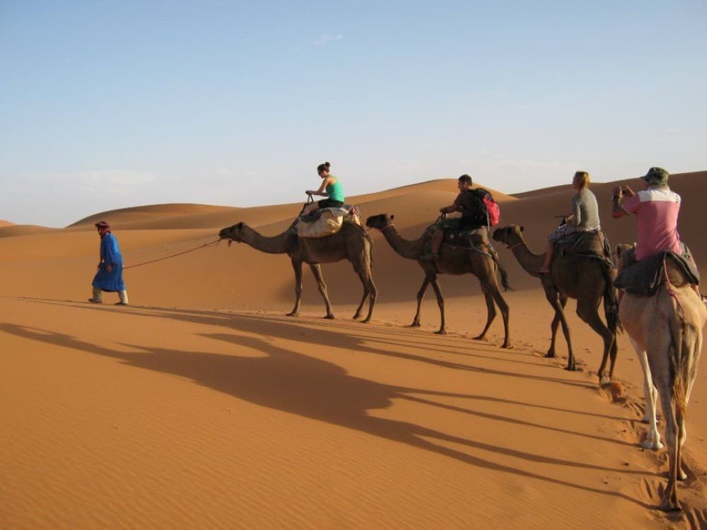From Fez: 3-Day Desert Tour To Merzouga And Marrakech | ®ExcursionMania - Image 3