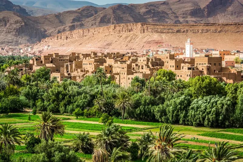 Marrakech: 3-Day Trip To Fez Via The Merzouga Sahara Desert | ®ExcursionMania - Image 11