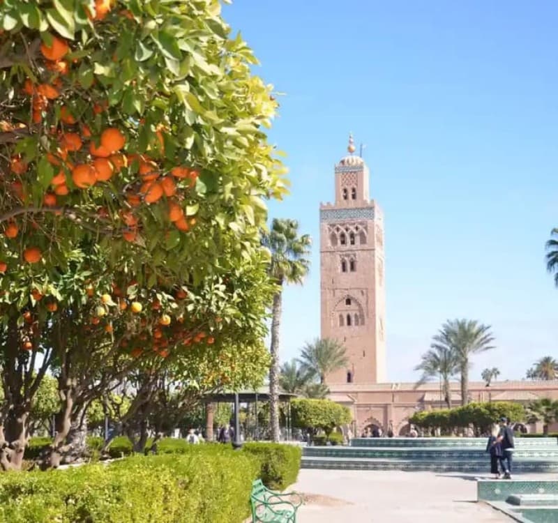 Highlights & Hidden Gems of Marrakech | ®ExcursionMania - Image 5