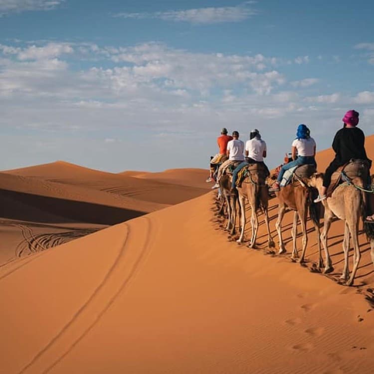 Top 3-day, 2-night Sahara adventure: Marrakech to Merzouga | ®ExcursionMania - Image 3