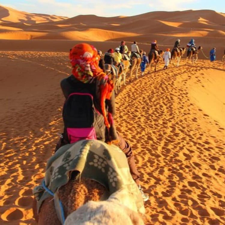 Top 3-day, 2-night Sahara adventure: Marrakech to Merzouga | ®ExcursionMania - Image 6