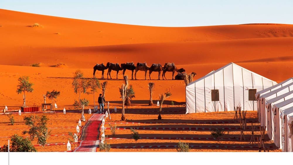 Top 3-day, 2-night Sahara adventure: Marrakech to Merzouga | ®ExcursionMania - Image 9
