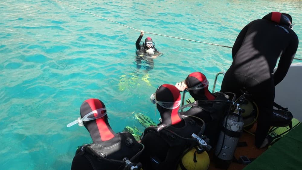 Kemer Scuba Diving Experience: 2 Dives, Lunch & Transfer | ®ExcursionMania - Image 3