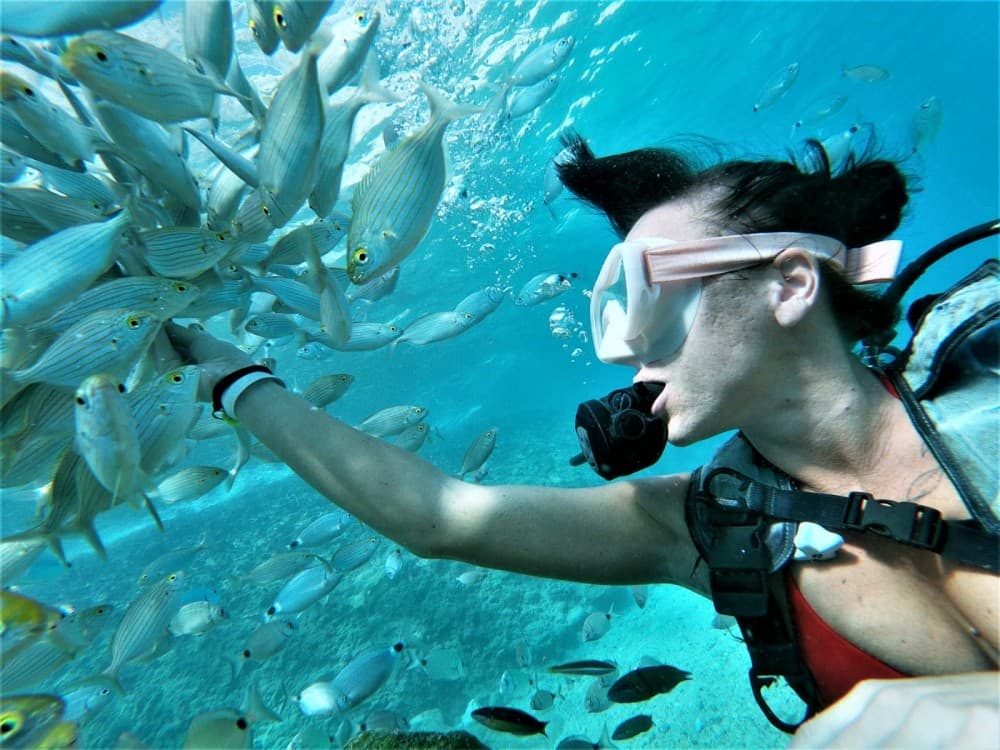 Kemer Scuba Diving Experience: 2 Dives, Lunch & Transfer | ®ExcursionMania - Image 9