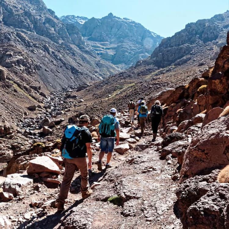 Atlas Mountains: Tedli Summit Day Hike from Marrakech | ®ExcursionMania - Image 4