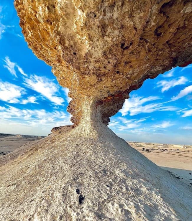 Fullday Tour to West of Qatar And Desert Safari with Pickup | ®ExcursionMania - Image 7