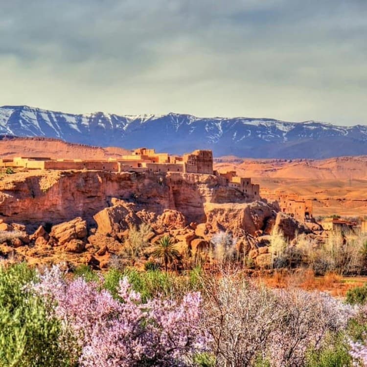 Agafay desert & Atlas Mountains full day tour from Marrakech | ®ExcursionMania - Image 2