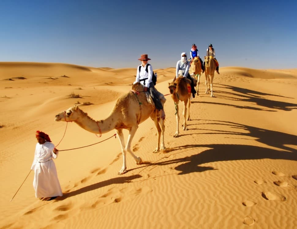 Doha: Desert Safari, Quad Bike & Buggy, Camel Ride | ®ExcursionMania - Image 6