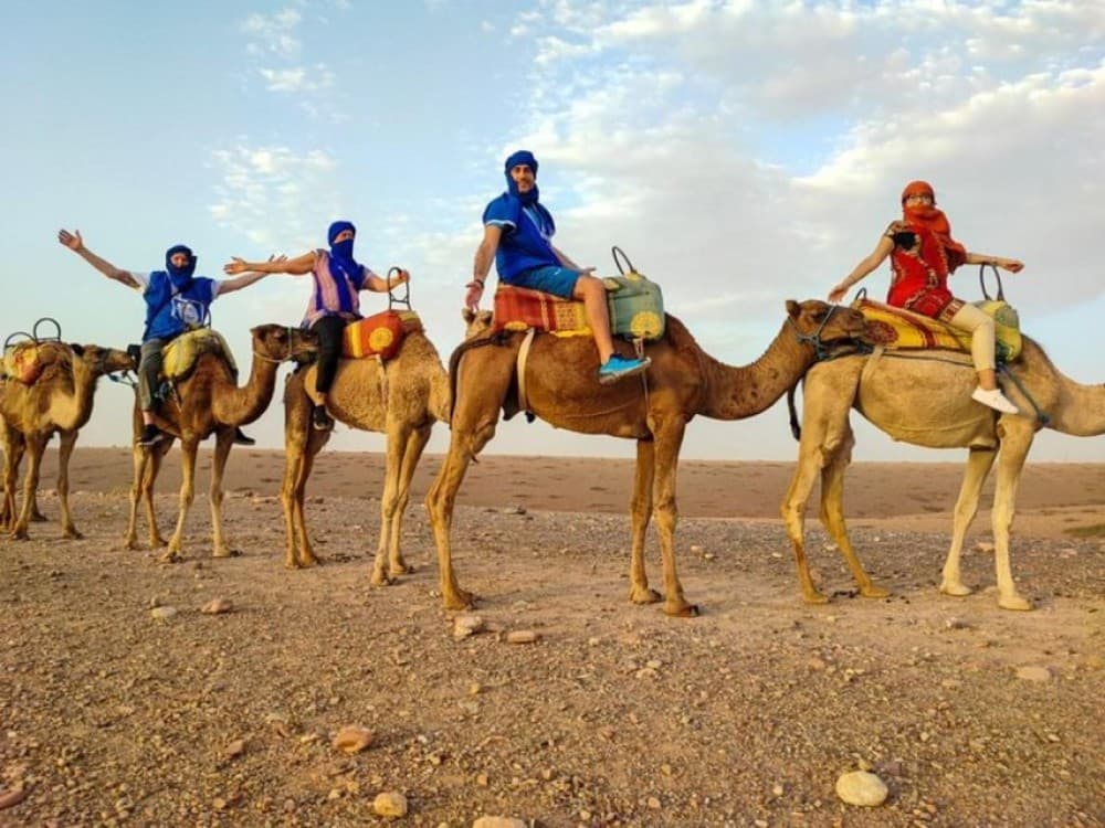 Dinner and Sunset Camel Ride at desert Agafay Marrakech | ®ExcursionMania - Image 6