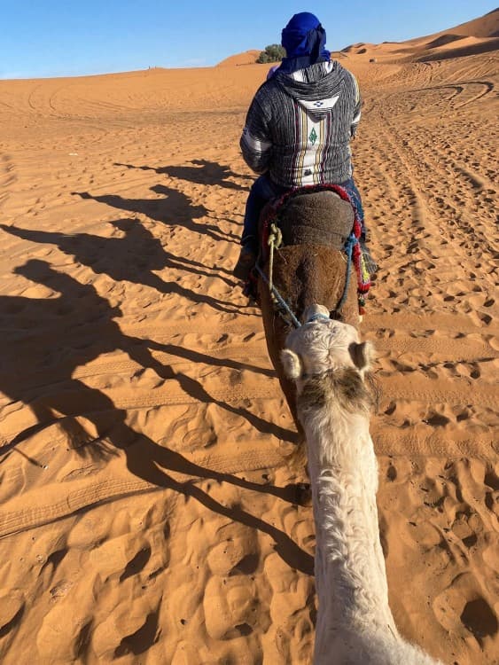 From Casablanca: 10 Day Desert Tour  via the Imperial Cities | ®ExcursionMania - Image 8